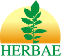 Herbae Consultoria e Projetos Agrícolas